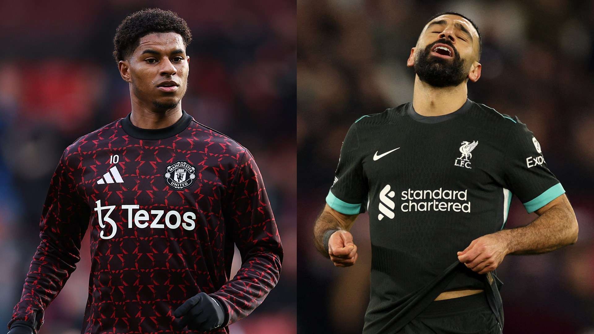 球迷共同的 球迷共同的